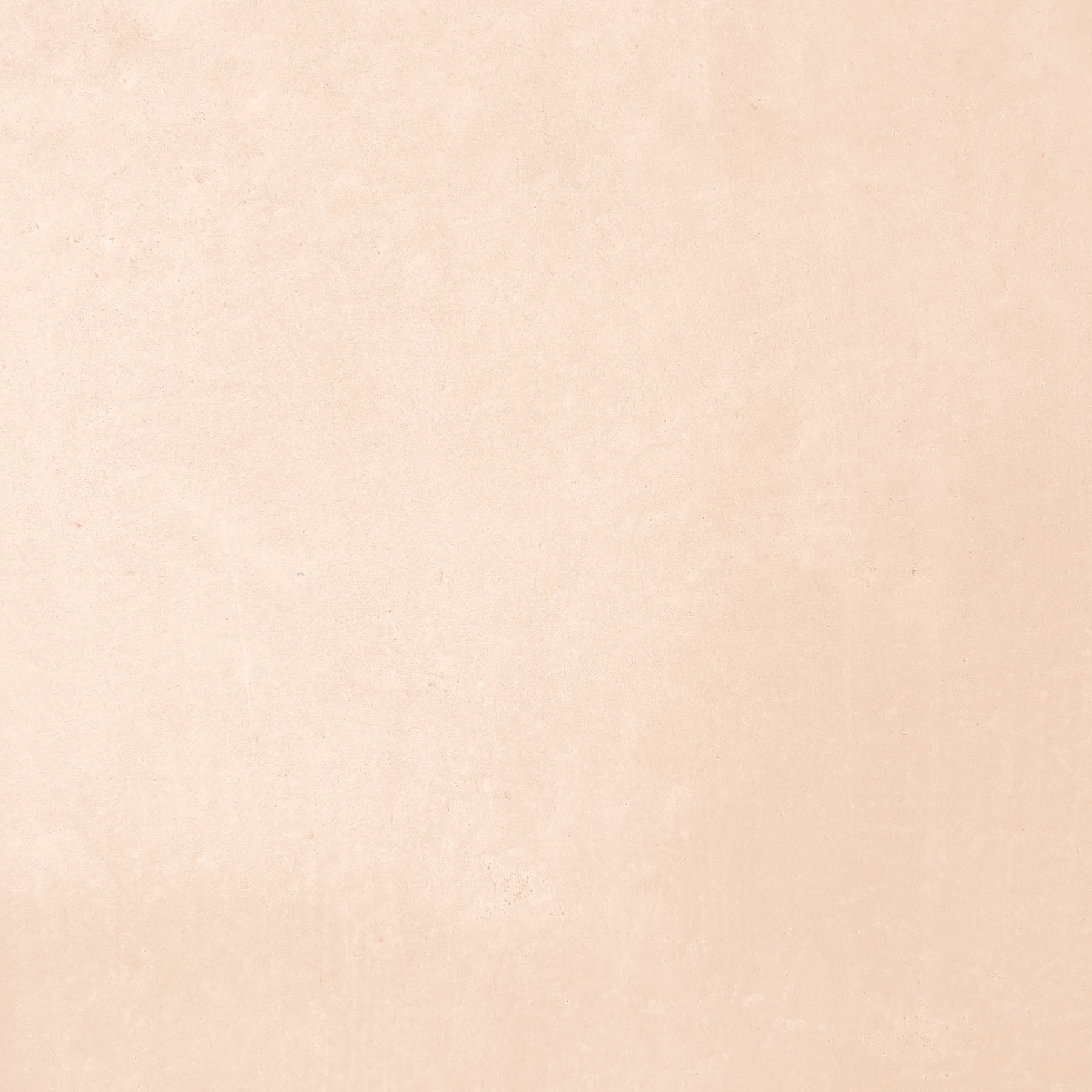 Mas Maya Coating Cashew