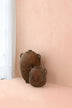 Mas Maya Coating Rosehip Monstervoorbeeld